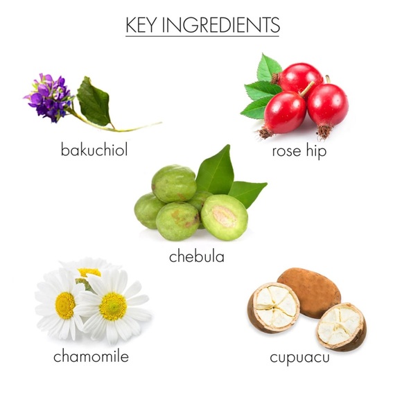 BNIB Replenishing Day Cream - Whish - Picture 7 of 15